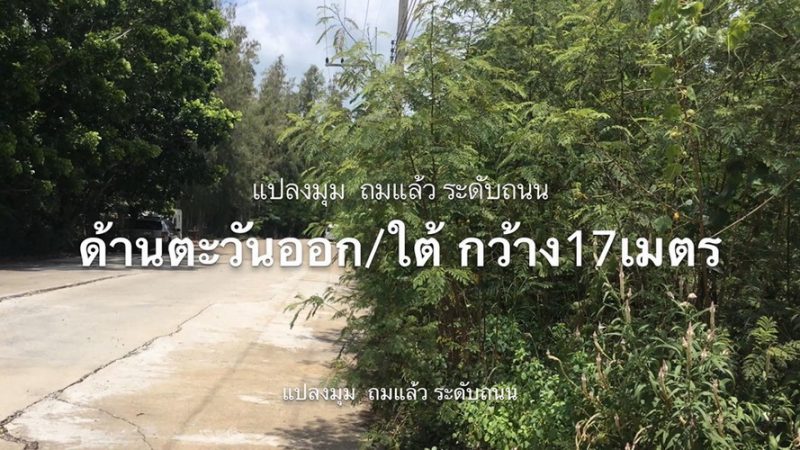 ขายที่ดินจัดสรร 99.2 ตร.วา สามโคก ปทุมธานี