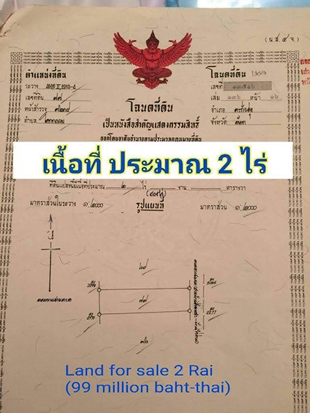 ขายที่ดิน 2 ไร่ อยู่ติดกับ Villa Viva จังหวัดพังงา