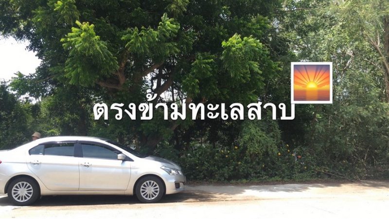 ขายที่ดินจัดสรร 99.2 ตร.วา สามโคก ปทุมธานี