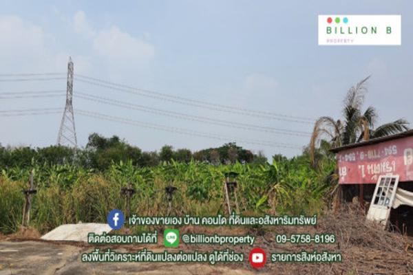 ที่ดินแปลงใหญ่ อยู่ไม่ไกลจากกรุงเทพฯ บางกรวย-ไทรน้อย