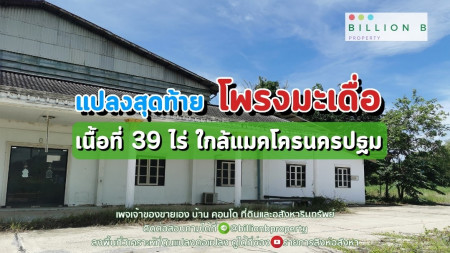 ที่ดินสวย แปลงสุดท้าย ใกล้กทม. เหมาะทำหมู่บ้าน มูลค่า 1,000 ล้าน