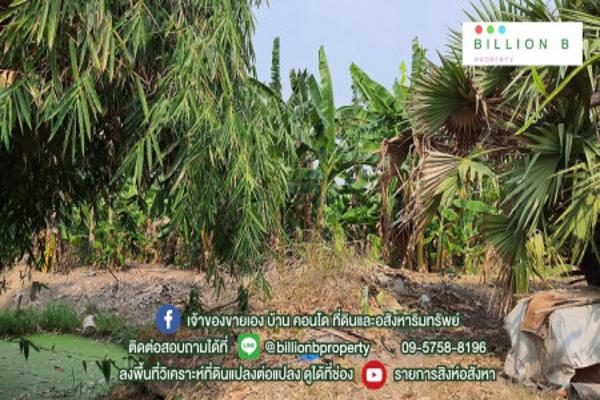 ที่ดินแปลงใหญ่ อยู่ไม่ไกลจากกรุงเทพฯ บางกรวย-ไทรน้อย