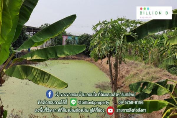 ที่ดินแปลงใหญ่ อยู่ไม่ไกลจากกรุงเทพฯ บางกรวย-ไทรน้อย