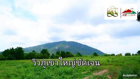 ให้เช่า ที่ดิน โฉนด ครุฑแดง นส.4 จชะอำ 200 ตร.วา ห่างทะเล แค่ 8 กม.
ไปหัวหินก็แต่15นาที