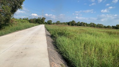 ขายที่ดินถนนคอนกรีต  คลอง 10 หนองเสือ ขนาด 12ไร่  เหมาะทำการเกษตร ปลูกบ้าน  ทำโกดัง