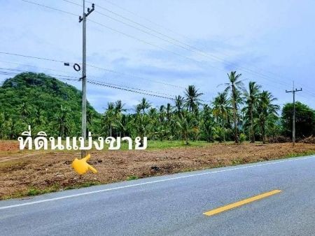 ขาย ที่ดิน นส 4จ. โฉนดครุฑแดง วิวทะเลหาดบ้านกรูด 200 ตร.วา ติดถนน​เส้นหลักเลียบชายทะเล ห่างหน้าหาด300​-400เมตร