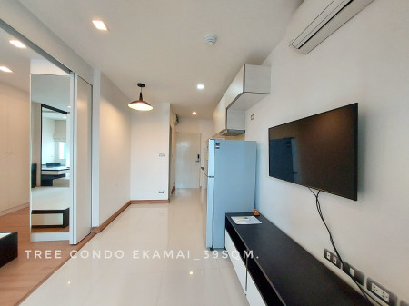 ขาย คอนโด 1 ห้องนอน ปรับราคาใหม่ รวมค่าโอน 3.7 ล้าน Tree Condo เอกมัย 39.23 ตรม.