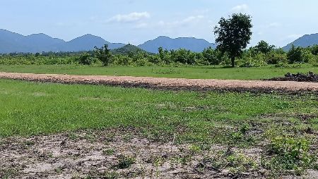 ขาย ที่ดิน วิวภูเขา ธรรมชาติโอบล้อม ทะเลสามพระยา 1 ไร่ ใกล้แหล่งท่องเที่ยวมากมาย นำ้ไฟฟ้าพร้อมถึงที่ทุกแปลง