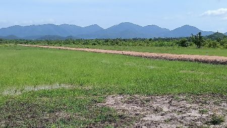 ขาย ที่ดิน วิวภูเขา ธรรมชาติโอบล้อม ทะเลสามพระยา 1 ไร่ ใกล้แหล่งท่องเที่ยวมากมาย นำ้ไฟฟ้าพร้อมถึงที่ทุกแปลง