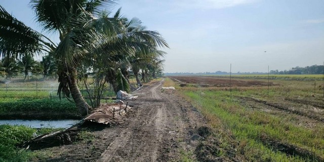 ขายที่ดิน ตำบล ราษฎรนิยม อำเภอ ไทรน้อย จังหวัด นนทบุรี