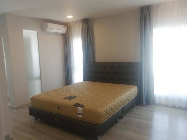 LVpop51894 ให้เช่า บ้านอัญญ่า บางนา-รามคำแหง 2 a โครงการของ Land &House ใกล้เมกะบางนา