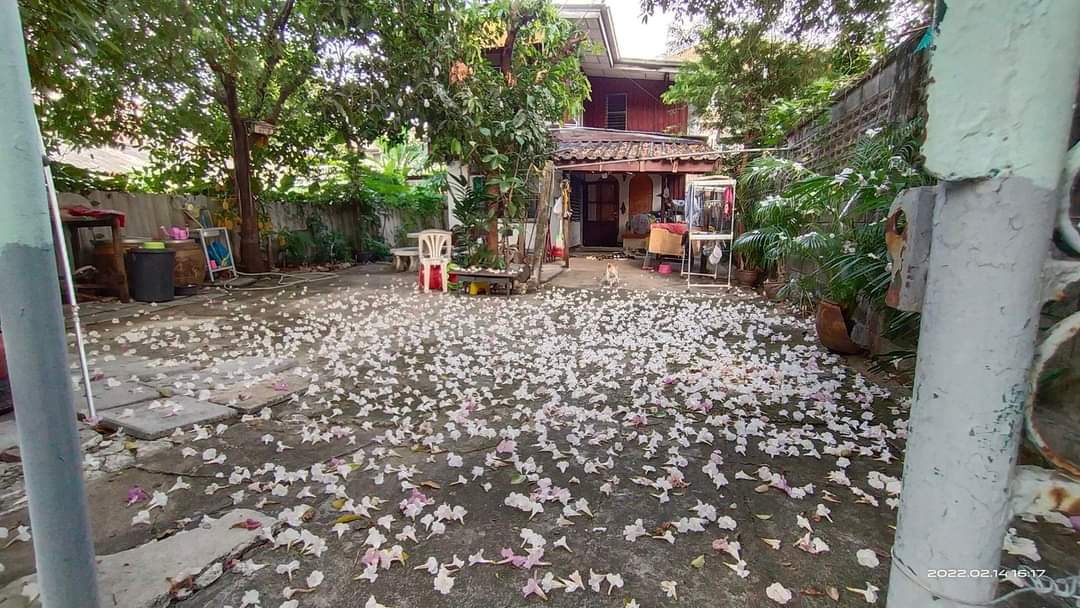 บ้านถนนลาดพร้าว ใกล้รถไฟฟ้าสายสีเหลือง
