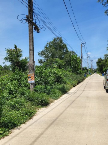 รหัส  ทดคลองสามพี่เอ๋ ต้องการขาย พื้นที่ดิน – 100 Square Wah 0 งาน 0 ไร่  ไม่ไกลจาก วัดธรรมกาย ตลาดไท ทำเลดีๆ