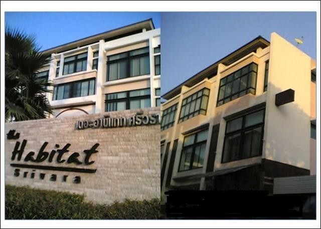 ขายโฮมออฟฟิศ 3.5 ชั้น ย่าน ทาวน์อินทาว โครงการ เดอะฮาบิแทท ศรีวรา (Habitat) ถนนเลียบด่วนเอกมัย-รามอินทรา