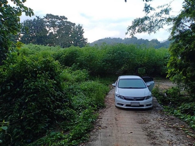 ที่ติดธารน้ำใสลำน้ำมวบ  ลำธารเคล้าแก่งหินเย็นสบาย850000บาท 3-0-35ไร่ อำเภอสันติสุข น่าน