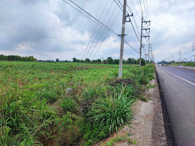 ขายที่ดินแปลงสวย ต.โคกเริงรมย์  อ.บำเหน็จณรงค์ จ.ชัยภูมิ (เจ้าของขายเอง)