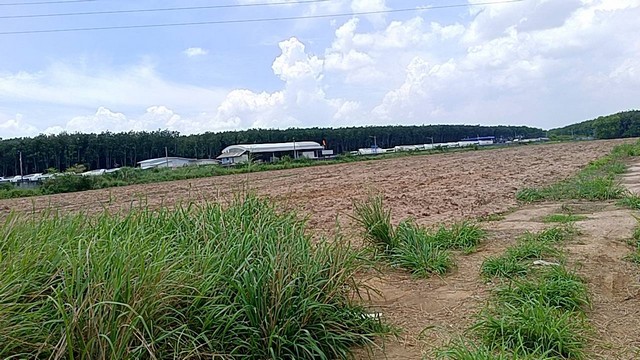 ขายที่ดิน ติดปั้ม ปตท. กม 39+800ตรงข้าม  AST WareHouSe ตำบลมาบข่า อำเภอนิคมพัฒนา จังหวัดระยอง