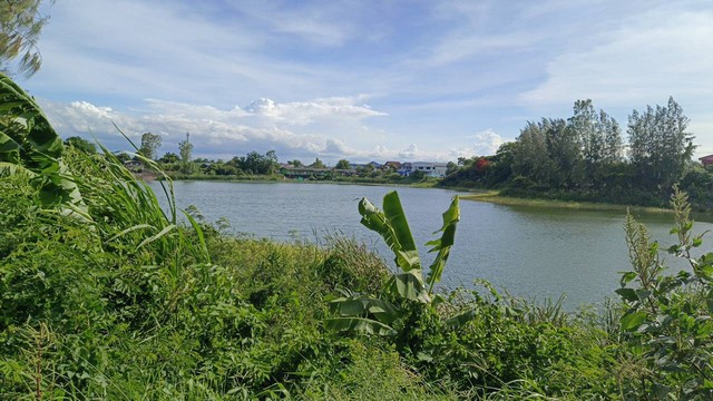 พื้นที่ดิน ที่ดิน บางเดื่อ ใกล้ถนนราชพฤกษ์ ตัดใหม่ ปทุมธานี  8000000 –   ทำเลดีราคาเด่น ปทุมธานี