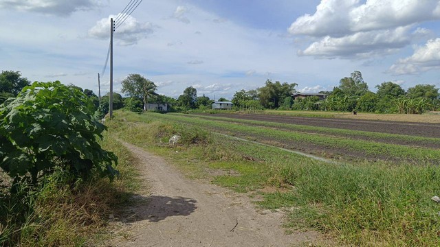 พื้นที่ดิน ที่ดิน บางเดื่อ ใกล้ถนนราชพฤกษ์ ตัดใหม่ ปทุมธานี  8000000 –   ทำเลดีราคาเด่น ปทุมธานี