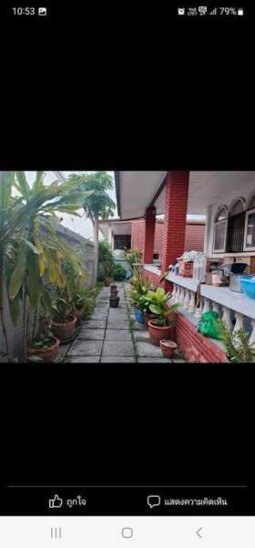 House for Sales ขายบ้านเดี่ยว 59 ตร.ว. ย่านโชคชัย4 ลาดพร้าว ลาดพร้าววังหิน สตรีวิทยา2  ราคาขาย 6,400,000 บาท