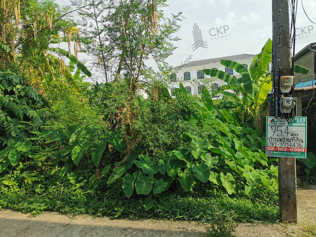 ขาย ที่ดินพร้อมสิ่งปลูกสร้าง ขนาด 75.4 ตร.วา ใกล้เซ็นทรัลอุดร 2ห้องนอน 1ห้องน้ำ ต.หมากแข้ง อ.เมือง อุดรธานี