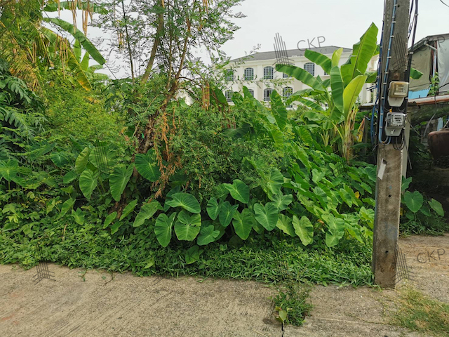 ขาย ที่ดินพร้อมสิ่งปลูกสร้าง ขนาด 75.4 ตร.วา ใกล้เซ็นทรัลอุดร 2ห้องนอน 1ห้องน้ำ ต.หมากแข้ง อ.เมือง อุดรธานี