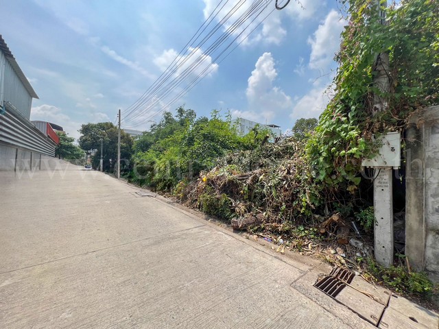 ที่ดิน 122 ตร.วา แปลงสวย อุดมสุข 42 ศรีนครินทร์ บางนา ใกล้ BTS อุดมสุข