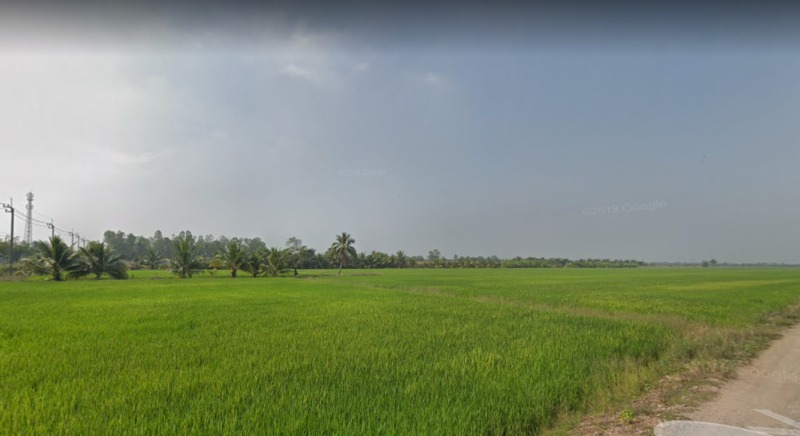 RAL06ขายที่ดินลาดกระบัง39ไร่ ถนนขุมทอง-ลำต้อยติ่ง แขวงขุมทอง เขตลาดกระบัง