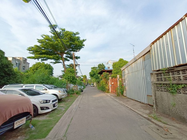ขายที่ดิน 257ตรว. ซอย บางนาตราด13 เหมาะสร้างบ้านอาศัย อพาร์ทเม้นท์