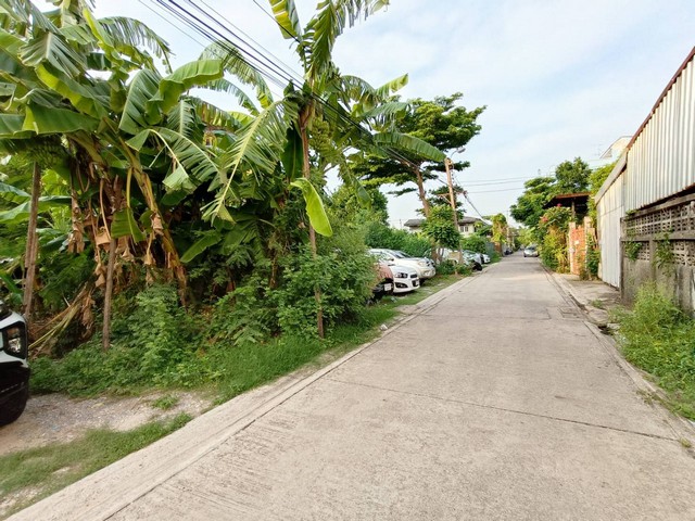 ขายที่ดิน 257ตรว. ซอย บางนาตราด13 เหมาะสร้างบ้านอาศัย อพาร์ทเม้นท์