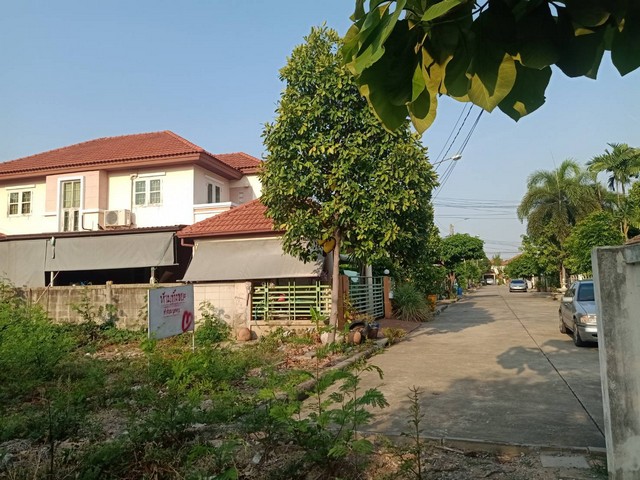 ขายที่ดิน 69ตรว. ย่านรามอินทรา ใกล้ รฟฟ สายสีชมพู แขวงท่าแร้ง  เขตบางเขน  กรุงเทพ