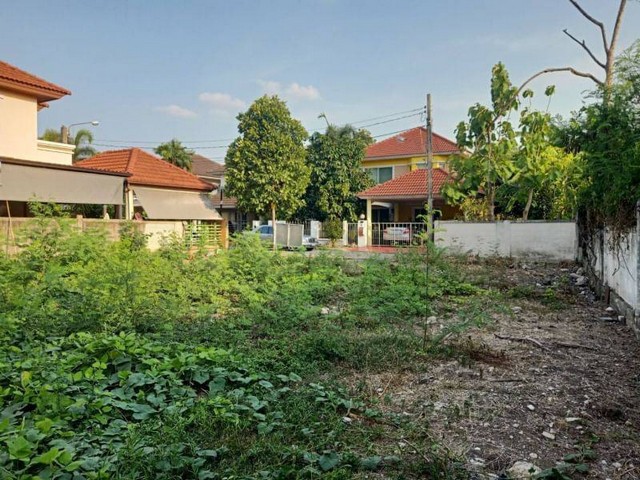 ขายที่ดิน 69ตรว. ย่านรามอินทรา ใกล้ รฟฟ สายสีชมพู แขวงท่าแร้ง  เขตบางเขน  กรุงเทพ