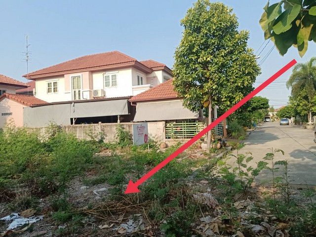 ขายที่ดิน 69ตรว. ย่านรามอินทรา ใกล้ รฟฟ สายสีชมพู แขวงท่าแร้ง  เขตบางเขน  กรุงเทพ