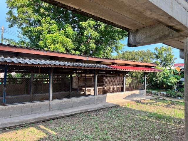 ขายที่ดินแปลงสวยพร้อมบ้าน ที่ดินติดดินคลองตะเคียน พร้อมโครงบ้านเเถมไม้สัก จังหวัดนครศรีอยุธยา