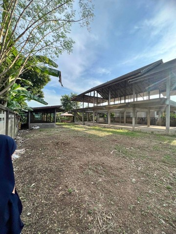ขายที่ดินแปลงสวยพร้อมบ้าน ที่ดินติดดินคลองตะเคียน พร้อมโครงบ้านเเถมไม้สัก จังหวัดนครศรีอยุธยา