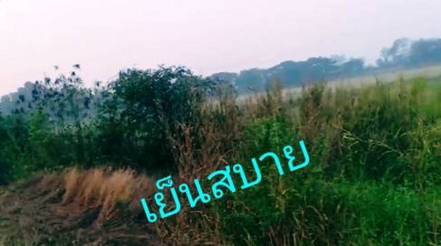 ขายที่ดินติดถนนคอนกรีต เมืองมหาราช เมืองอยุธยา ต.อ.มหาราช อยุธยา ตำบลมหาราช 4-1-88ไร่ อำเภอมหาราช ถนนคอนกรีต มหาราช อยุธยา