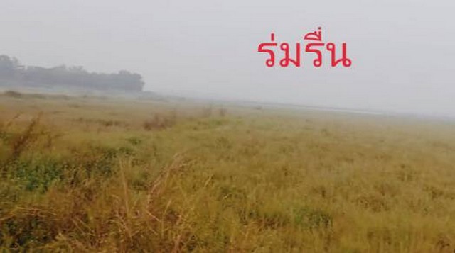 ขายที่ดินติดถนนคอนกรีต เมืองมหาราช เมืองอยุธยา ต.อ.มหาราช อยุธยา ตำบลมหาราช 4-1-88ไร่ อำเภอมหาราช ถนนคอนกรีต มหาราช อยุธยา