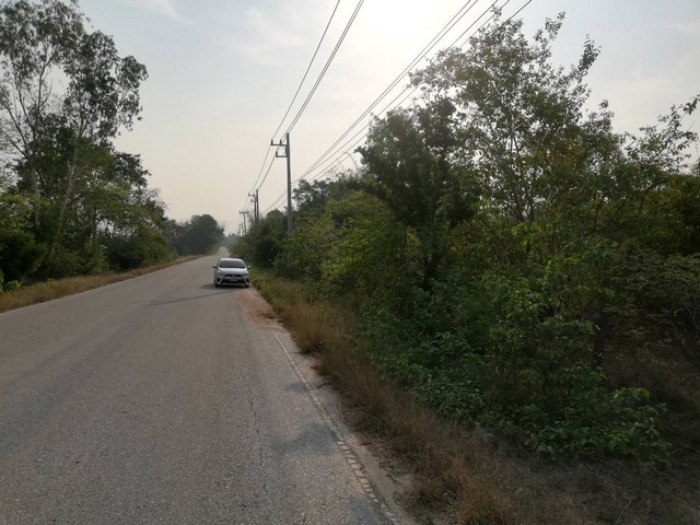 ดินดีสมบูรณ์บนถนนสายหลักเมืองบ้านตากแบ่งขาย.บ้านตาก ติดถนนดำ ทางหลวงชนบท คมนาคมสะดวกมาก 36 ไร่เศษ อ.บ้านตาก  จ.ตาก  ติด ทล.1107 โทร 0968821857