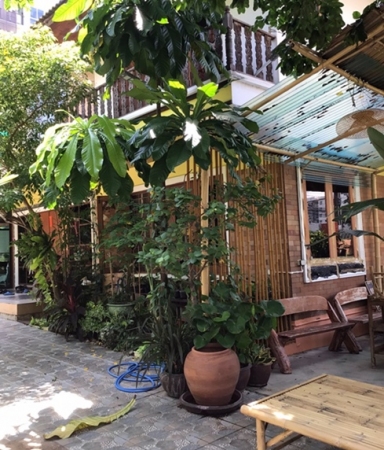 ขายบ้านเดี่ยว 2 ชั้น 200 ตารางวา 4 ห้องนอน สุขุมวิท 93 ซอยพึ่งมี 1 บ้านมีบริเวณ ต้นไม้ใหญ่เยอะ บรรยากาศดีร่มรื่น ใกล้ BTS บางจาก