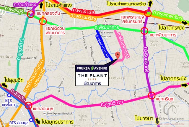 PP119 ขายบ้านเดี่ยว 3 ชั้น เดอะ แพลนท์ เอลิท ซอยพัฒนาการ 38 The Plant Elite Pattanakarn  ราคาขาย 17,500,000 บาท