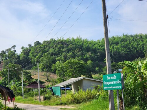 ขายที่ดิน 30-2-18 ไร่ ต.ป่าตึง อ.แม่จัน จ.เชียงราย ใกล้น้ำพุร้อนป่าตึง 3.5 กม.