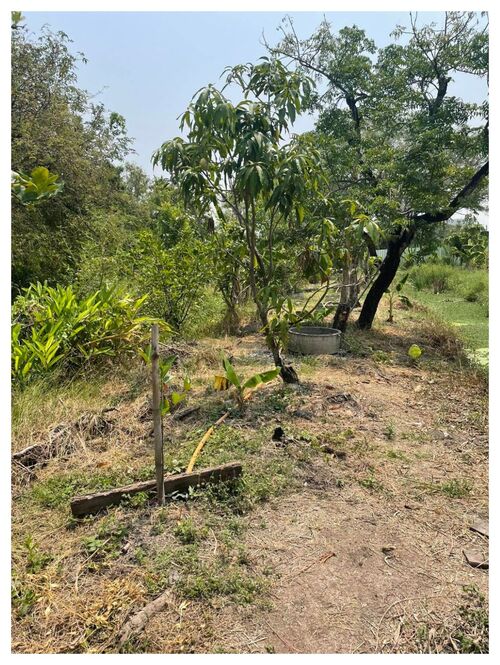 ขายที่ดิน ราคาถูก 100 ตร.วา ใกล้ สวนหลวง ร.9 เขตประเวศ กรุงเทพ