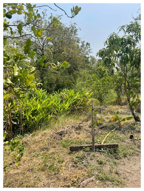 ขายที่ดิน ราคาถูก 100 ตร.วา ใกล้ สวนหลวง ร.9 เขตประเวศ กรุงเทพ