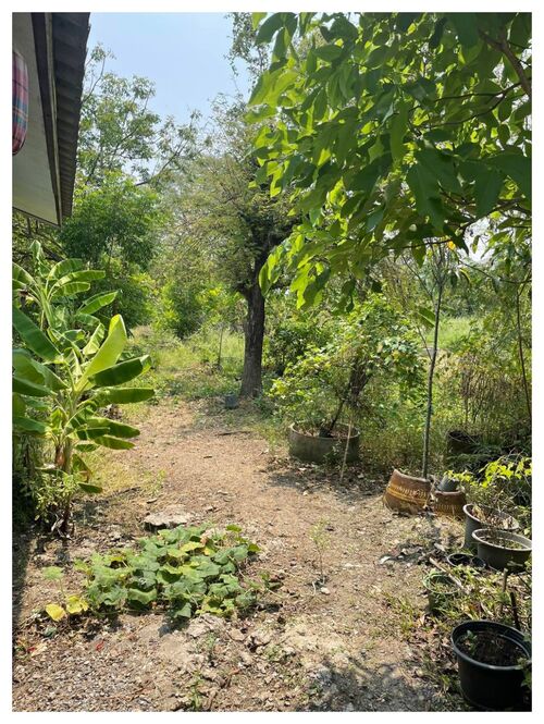 ขายที่ดิน ราคาถูก 100 ตร.วา ใกล้ สวนหลวง ร.9 เขตประเวศ กรุงเทพ
