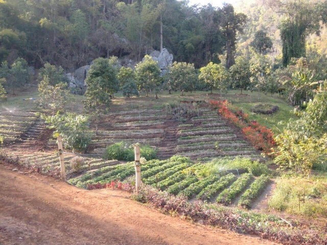ขายที่ดิน 8ไร่ วิวดอยสวยๆ ติดถนนสะเมิง บ้านปง หางดง เชียงใหม่