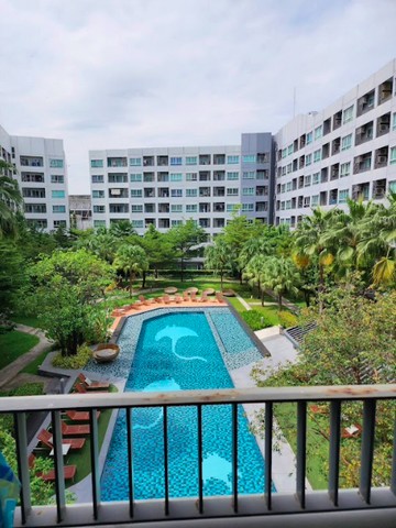ว่างให้เช่า เอลลิโอ เดลเรย์ สนใจต่อรองราคา @condo456 (มี@ด้วย)