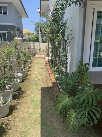 ขายบ้านเดี่ยว 2 ชั้น หมู่บ้านธนกฤษณ์ ท่ารั้ว ตำบลสันปูเลย อำเภอดอยสะเก็ด เชียงใหม่