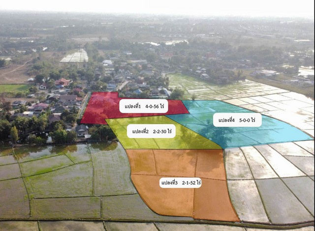 ขายที่ดิน 4 แปลงติดกัน14 ไร่ อำเภอดอยสะเก็ด จังหวัดเชียงใหม่