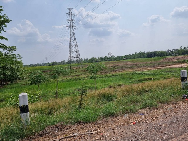 ขายที่ดิน 54-2-11ไร่ 35ล้านบาท ติดถนน 4เลน ยางตลาด-โพนทอง ต.ยางตลาด อ.ยางตลาด กาฬสินธุ์
