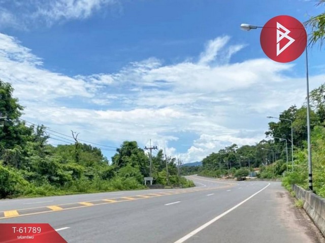 ขายที่ดินทำเลติดถนนใหญ่ สายสุขุมวิท 318 ต.หาดเล็ก อ.คลองใหญ่ จ.ตราด